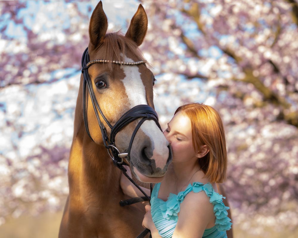 Mädchen küsst Fuchspony vor Kirschblütenbaum