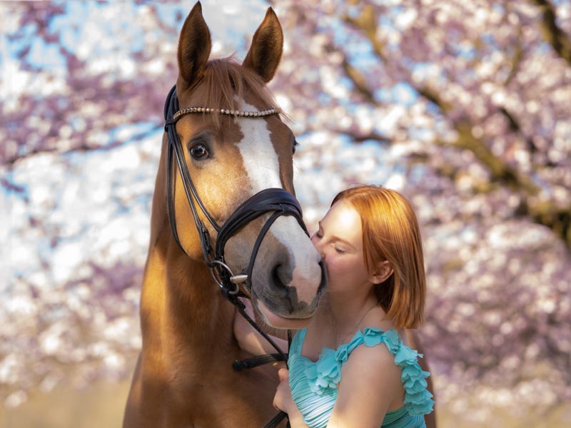 Portrait von jungem Mädchen, dass ihr Pony vor Kirschblüten herzt