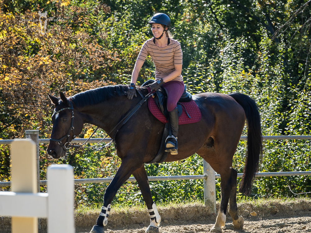 Reiterin lobt Pferd, glücklich nach gelungenem Lehrgang