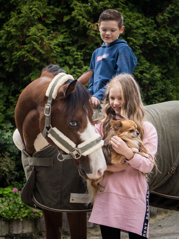 Familien Foto Kinder mit Pony und Hund
